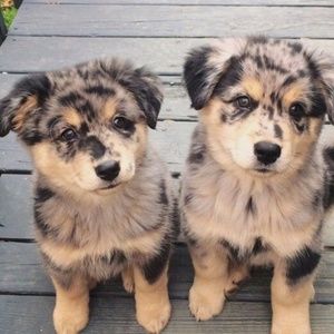 Meet your Posher, Kristallyn